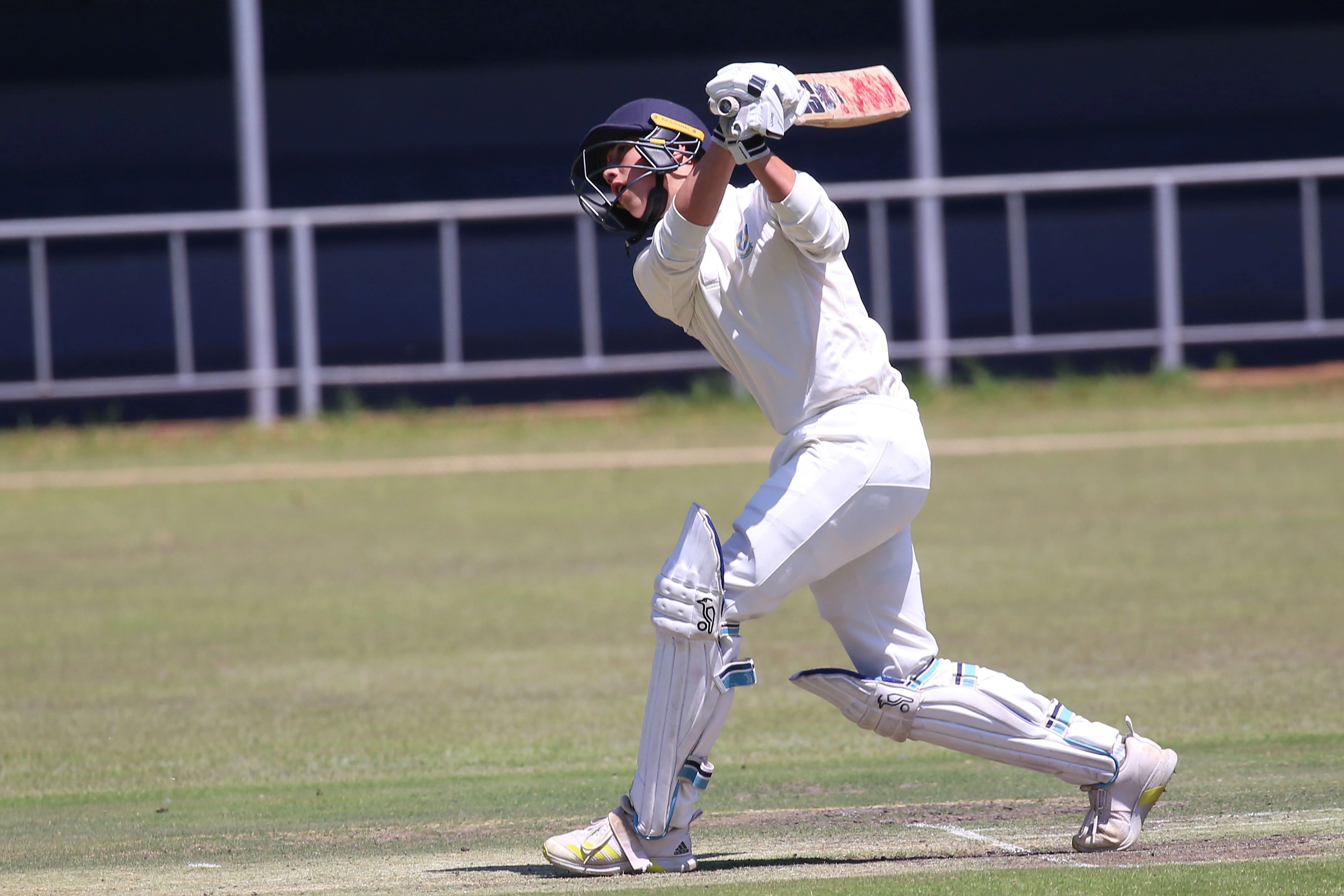 Cricket